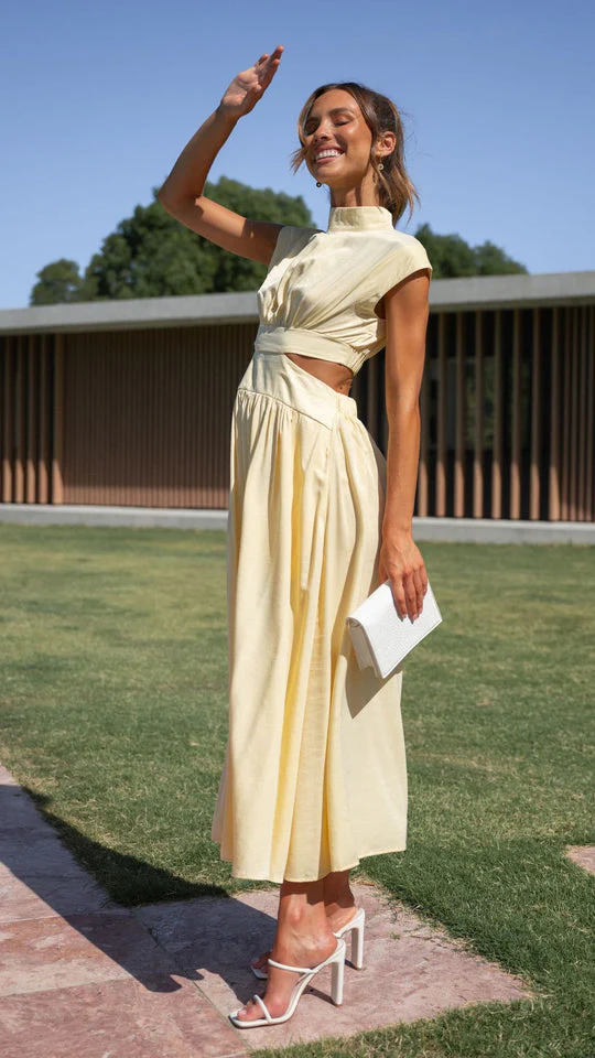 Eira Elegant Waist Cut Out Dress With Pockets