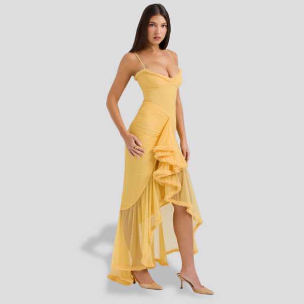 Gabrielle Maxi Dress