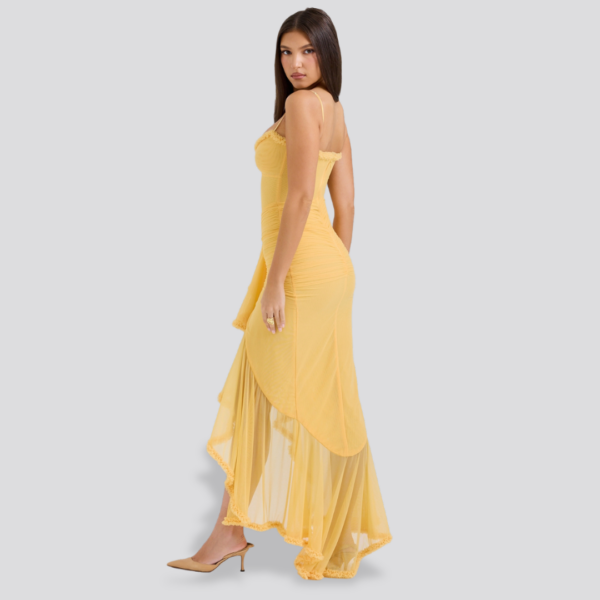 Gabrielle Maxi Dress