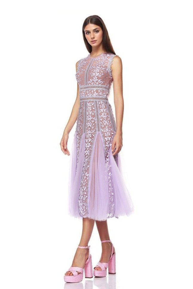 Heather Embroidered Lace Midi Dress